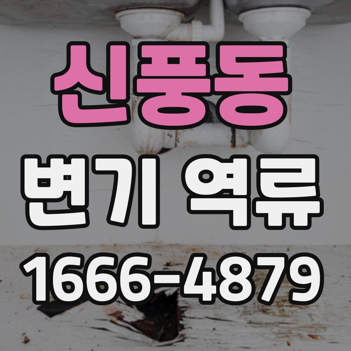신풍동 변기 역류