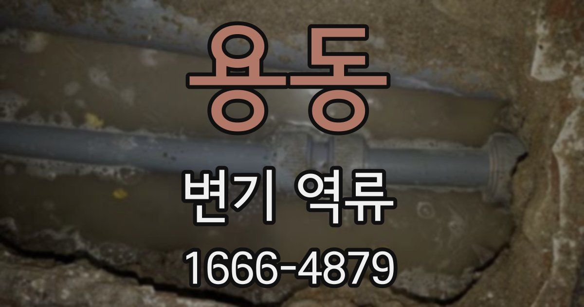 용동 변기 역류