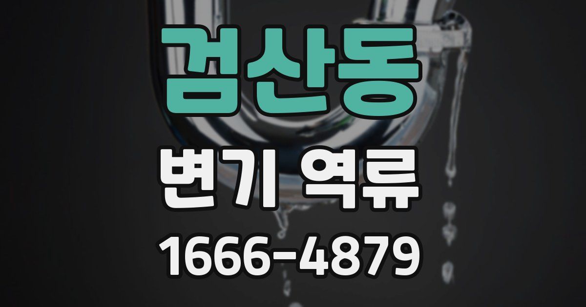 검산동 변기 역류
