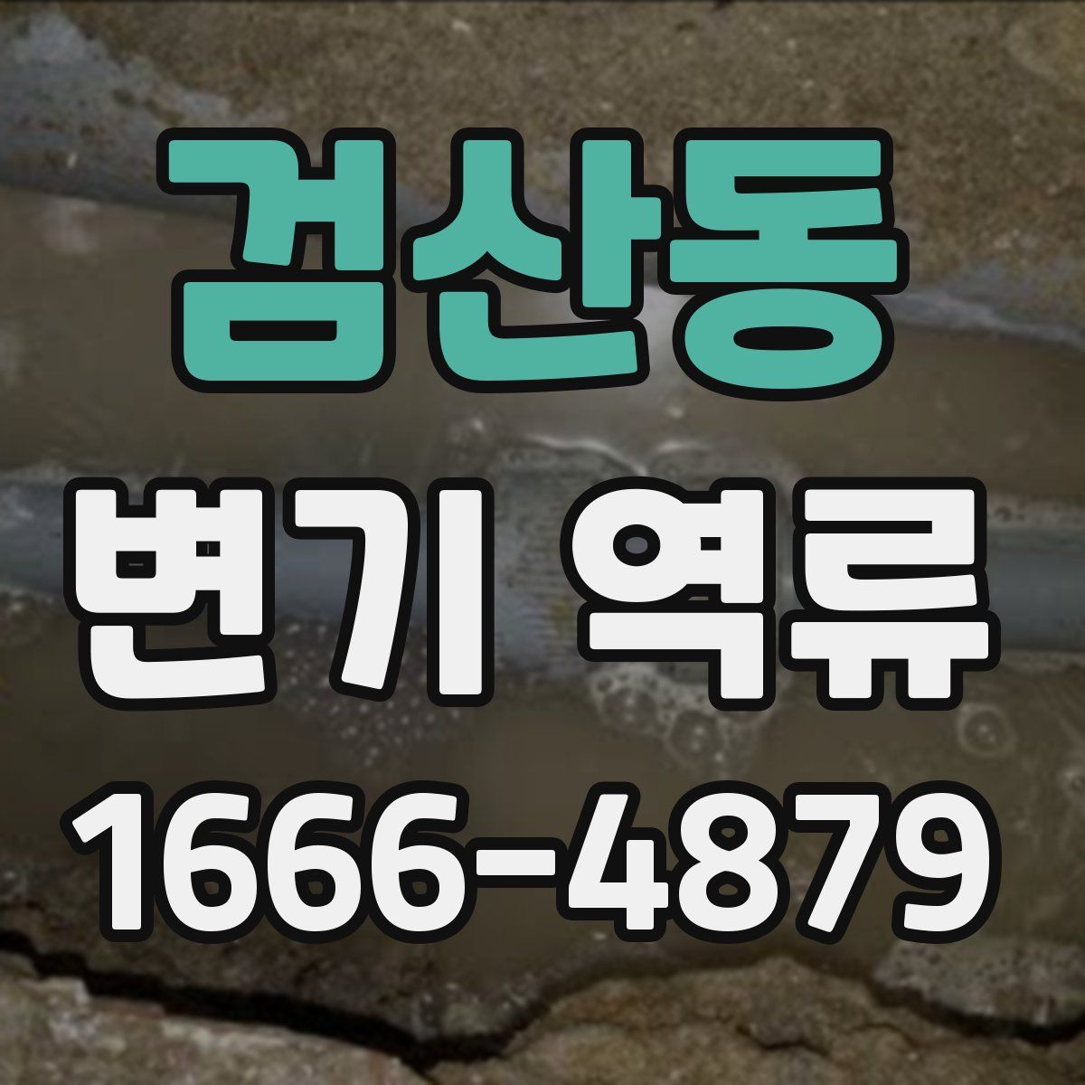 검산동 변기 역류