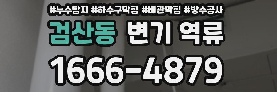 검산동 변기 역류