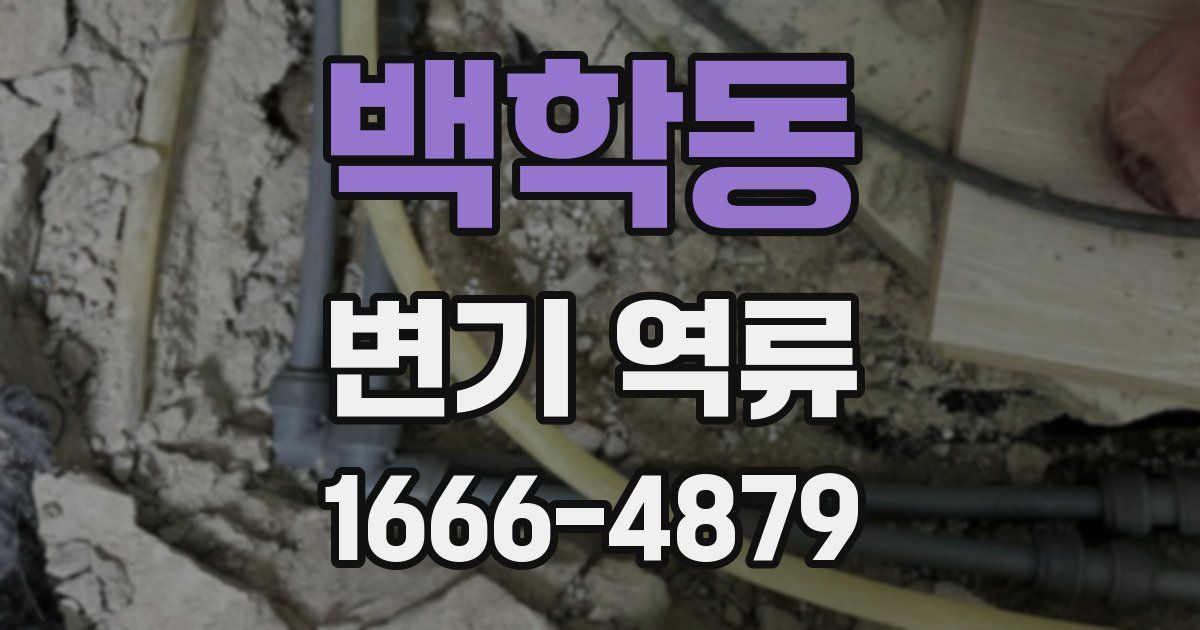 백학동 변기 역류
