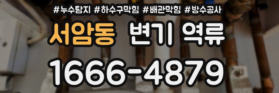 서암동 변기 역류