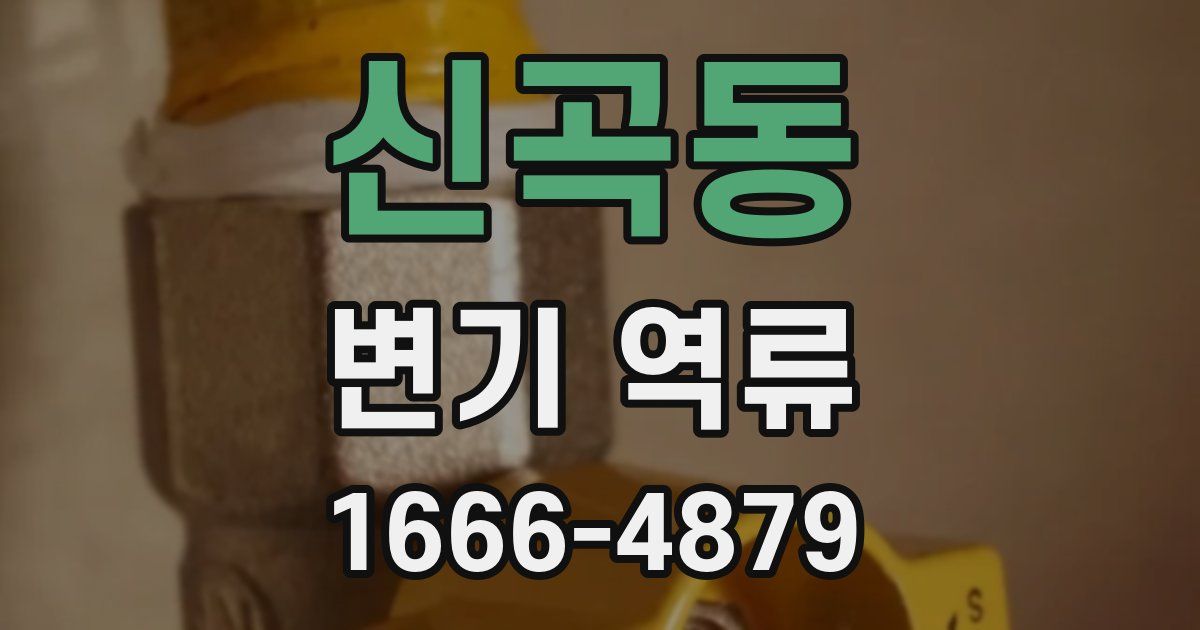 신곡동 변기 역류