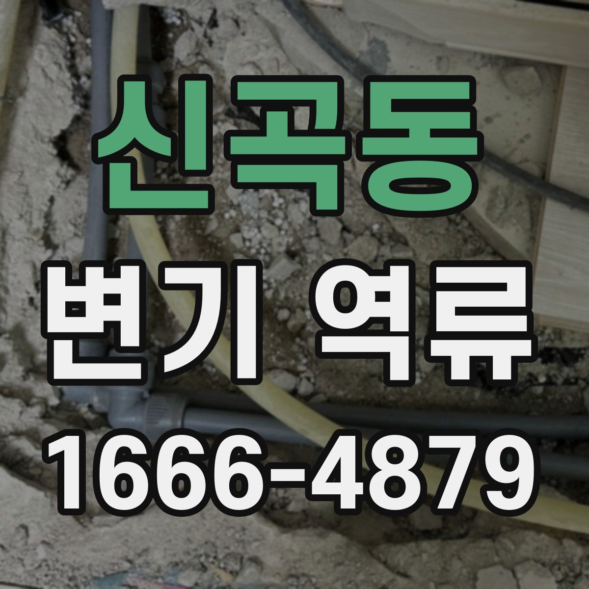 신곡동 변기 역류