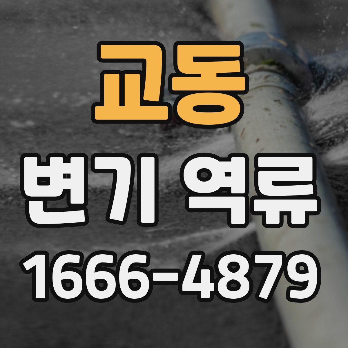 교동 변기 역류