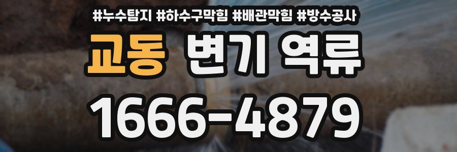 교동 변기 역류