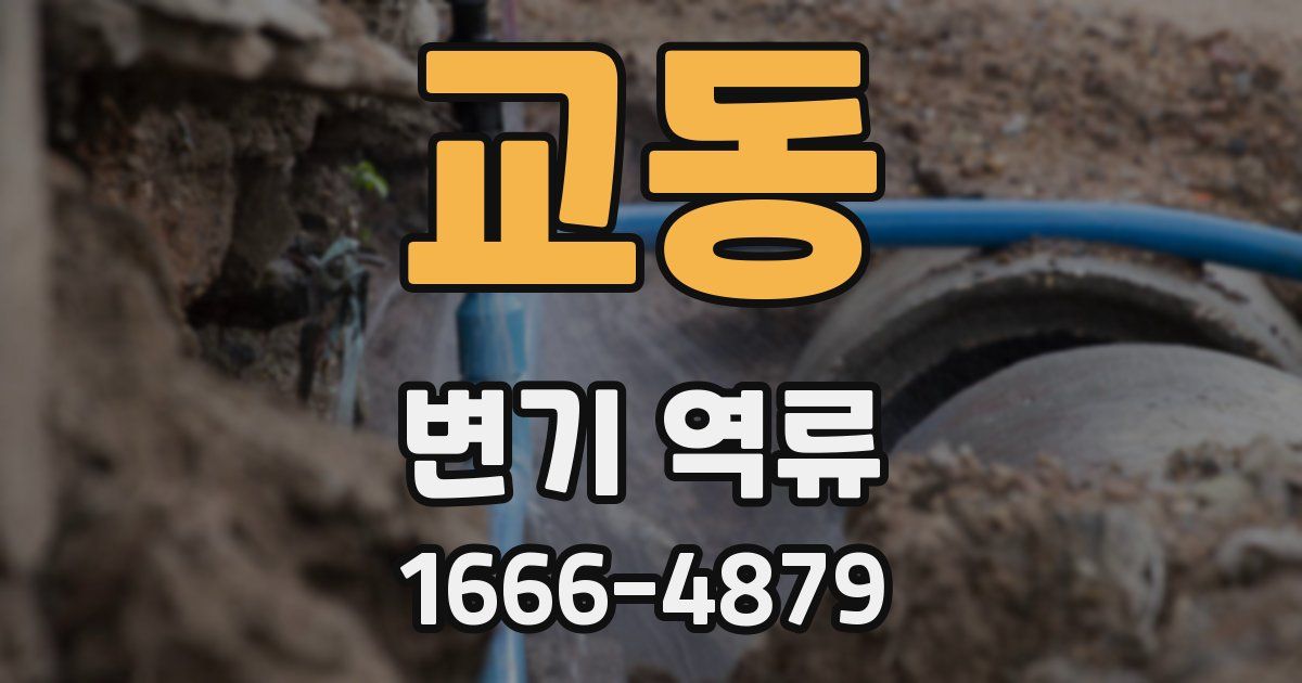 교동 변기 역류