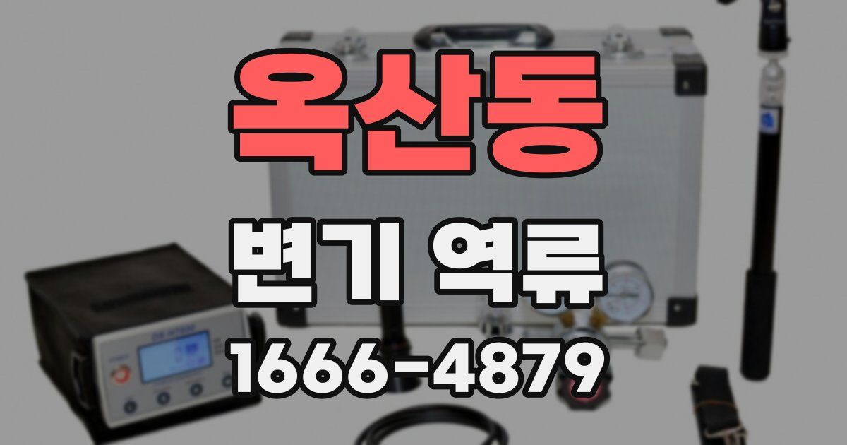 옥산동 변기 역류