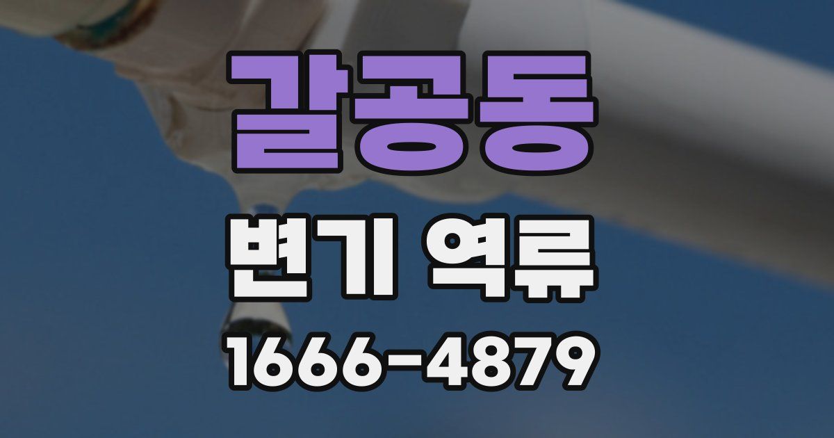 갈공동 변기 역류