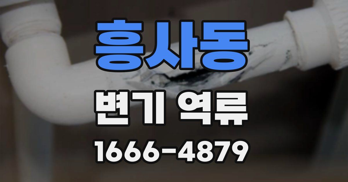 흥사동 변기 역류