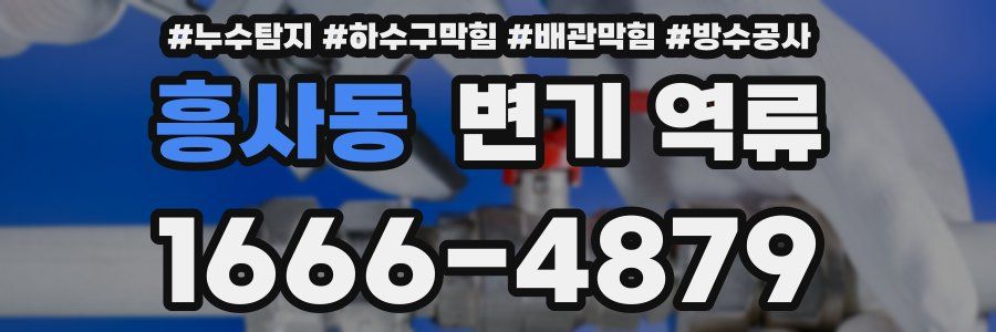 흥사동 변기 역류