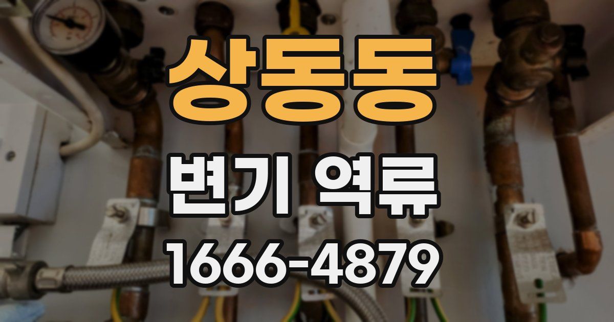 상동동 변기 역류