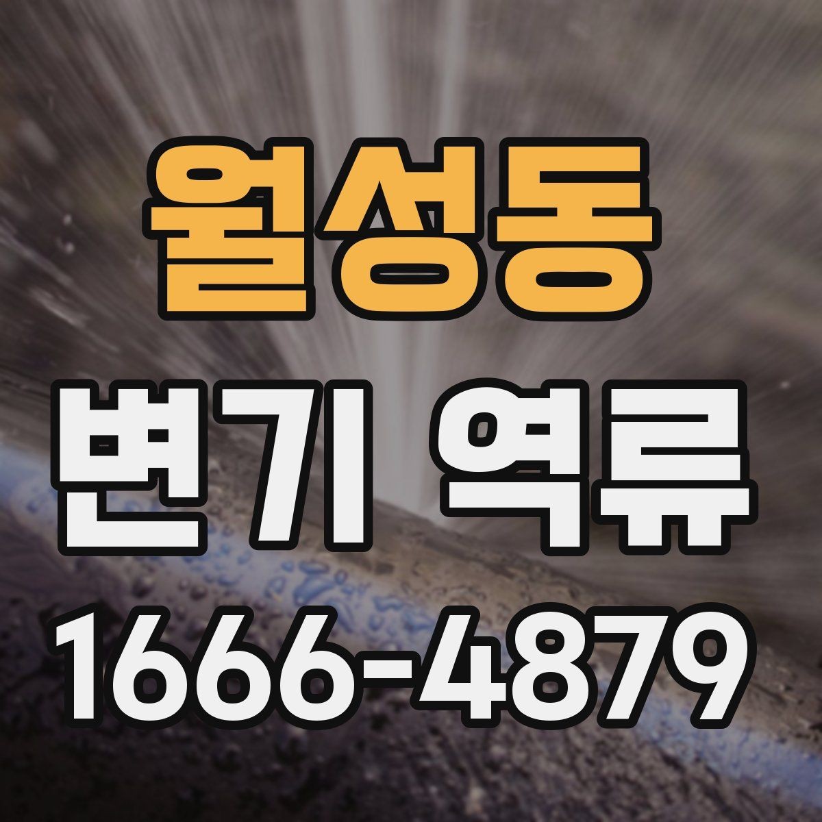 월성동 변기 역류 막힘이 아닌데도 물이 올라오는 이유