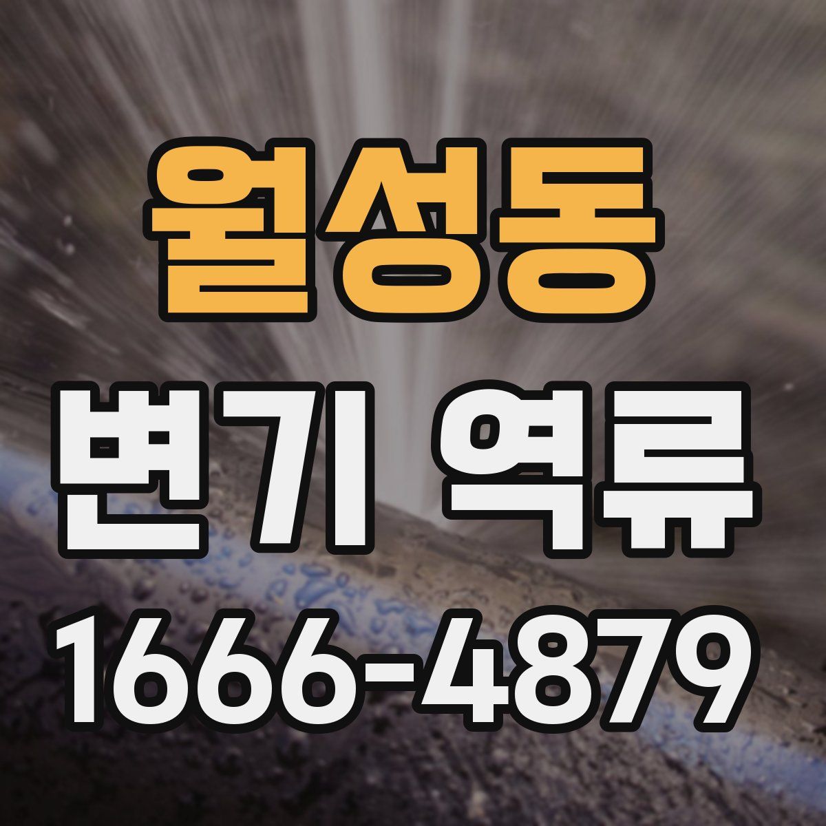 월성동 변기 역류