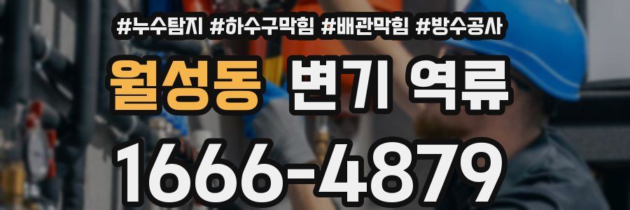 월성동 변기 역류