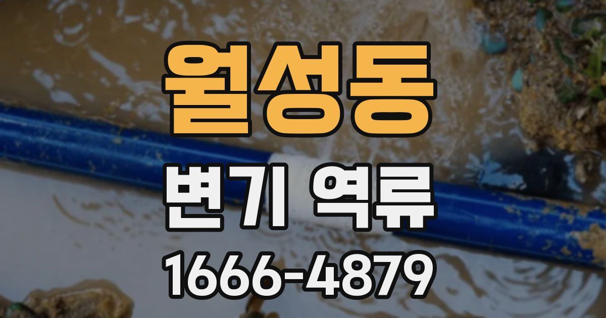 월성동 변기 역류