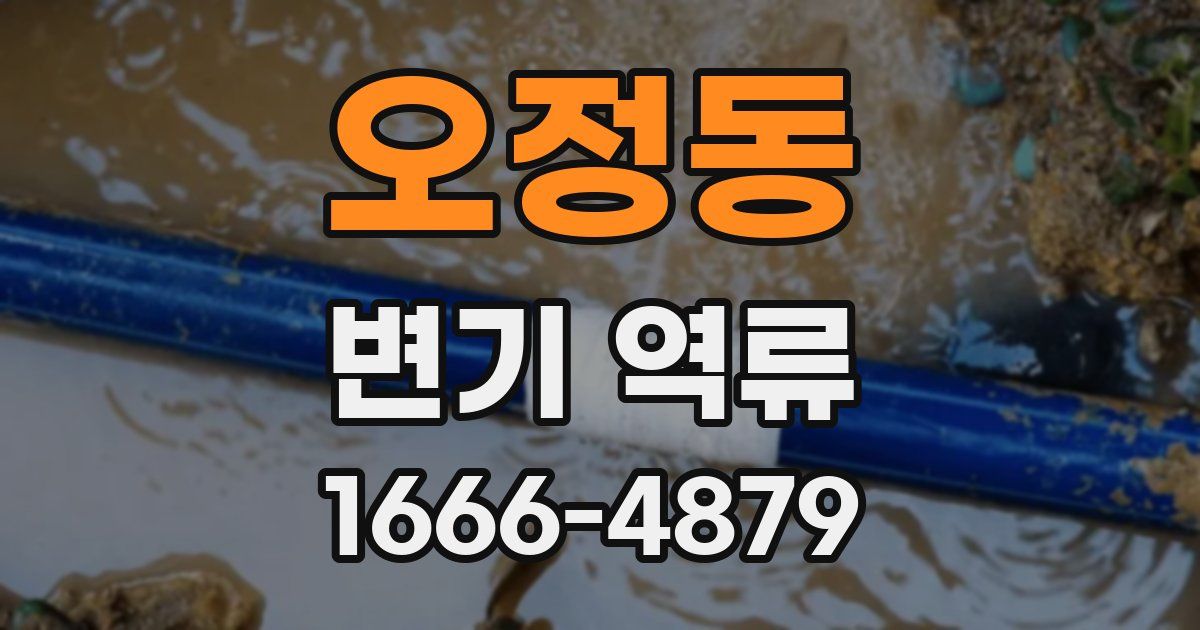오정동 변기 역류