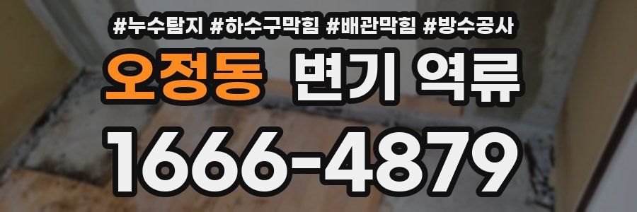 오정동 변기 역류