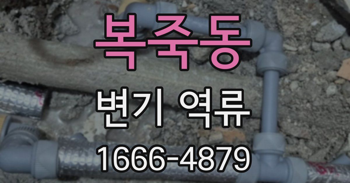 복죽동 변기 역류