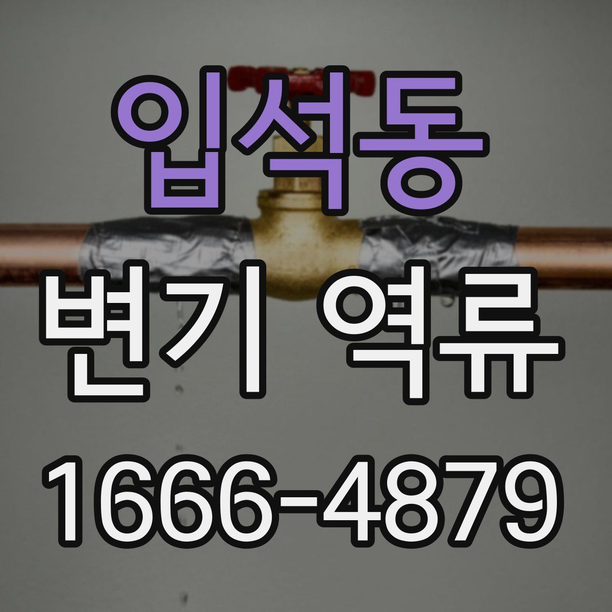 입석동 변기 역류