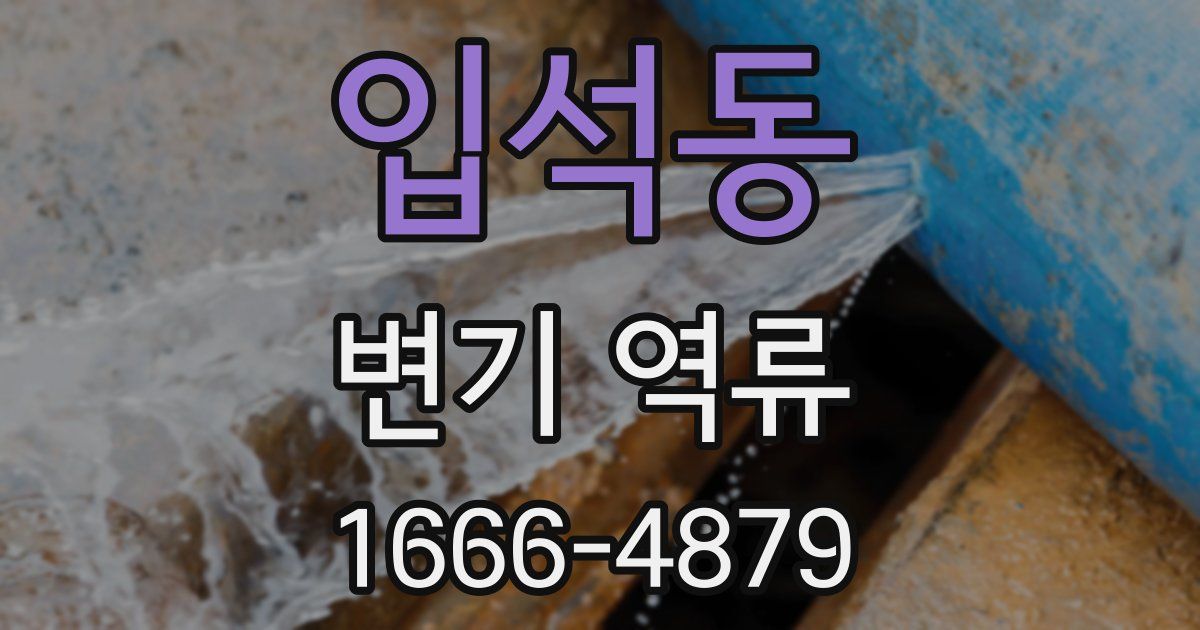 입석동 변기 역류