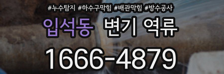입석동 변기 역류