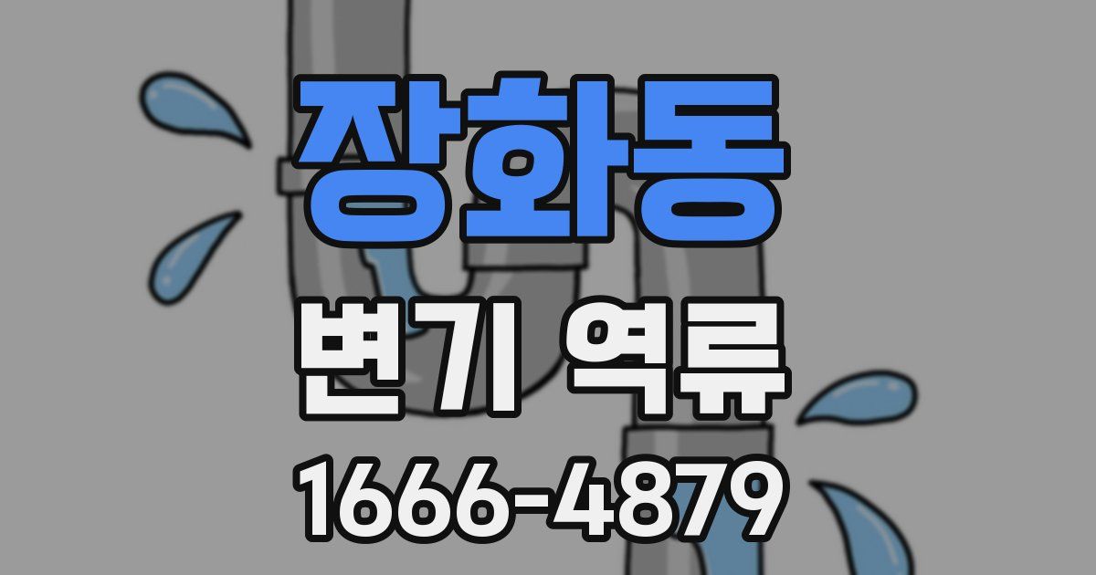 장화동 변기 역류