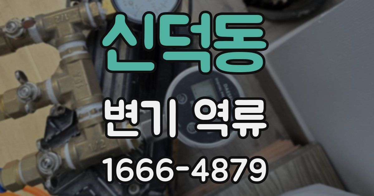 신덕동 변기 역류