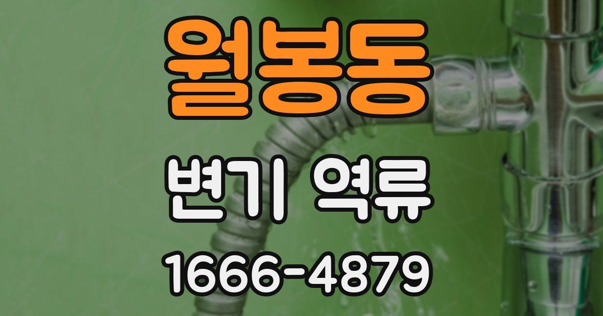 월봉동 변기 역류