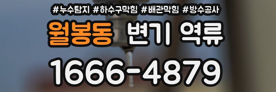 월봉동 변기 역류