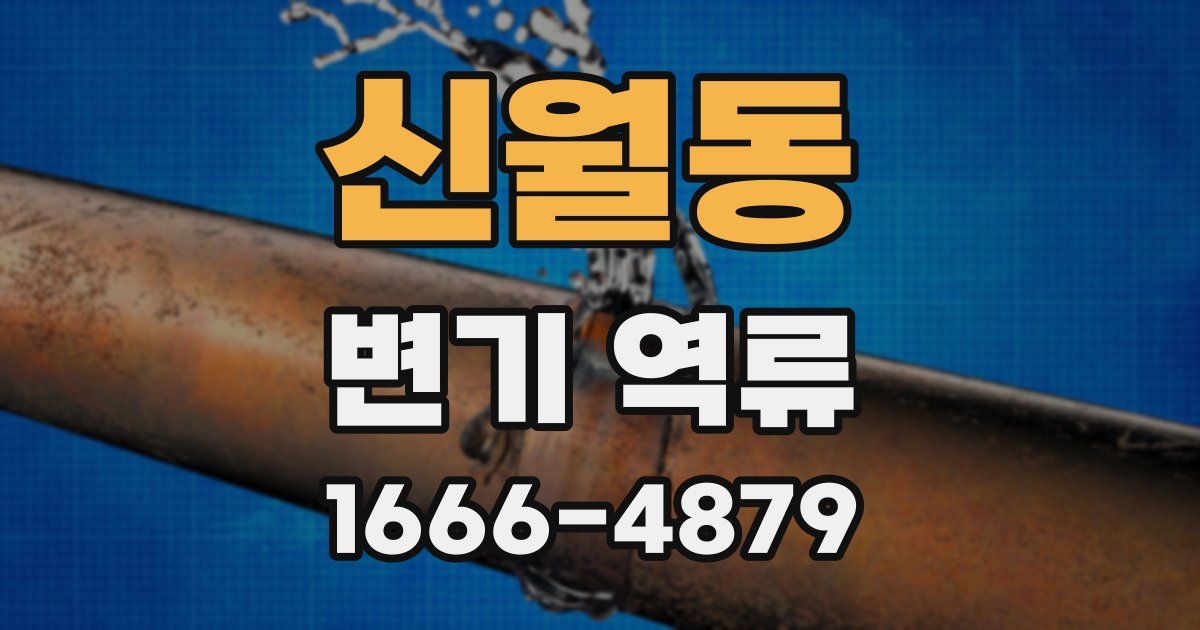 신월동 변기 역류