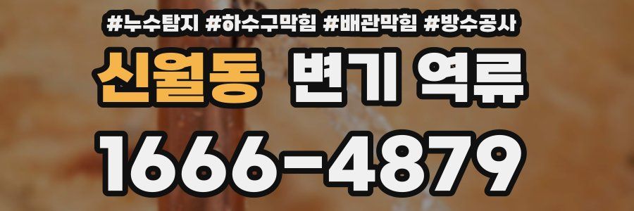 신월동 변기 역류
