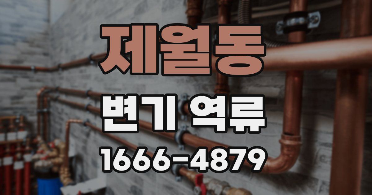 제월동 변기 역류