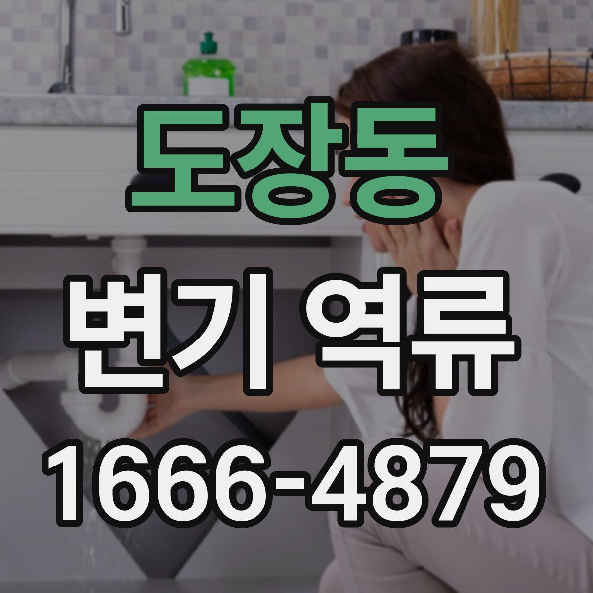 도장동 변기 역류