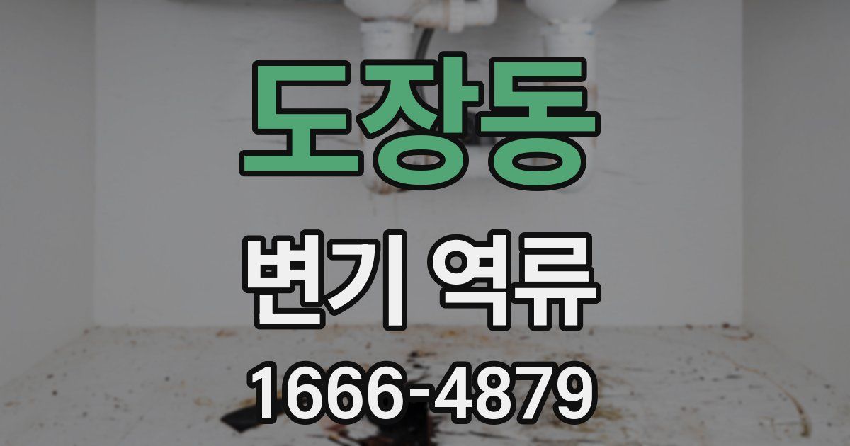 도장동 변기 역류