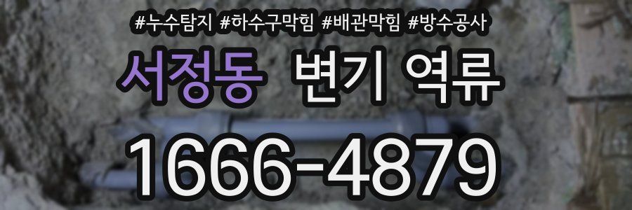 서정동 변기 역류