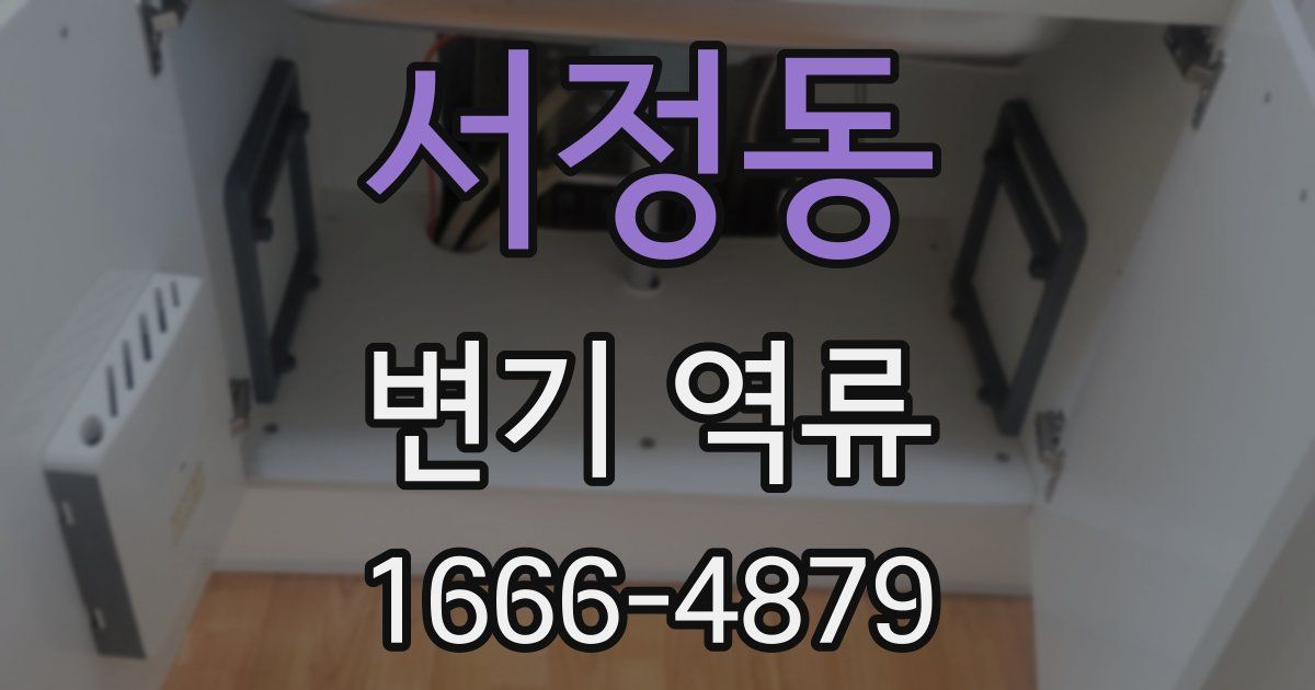 서정동 변기 역류