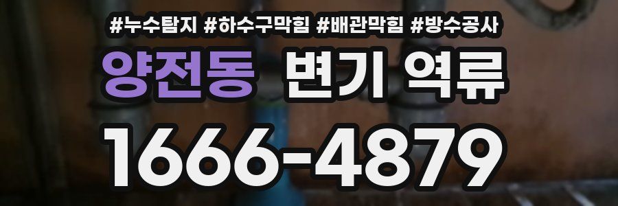양전동 변기 역류