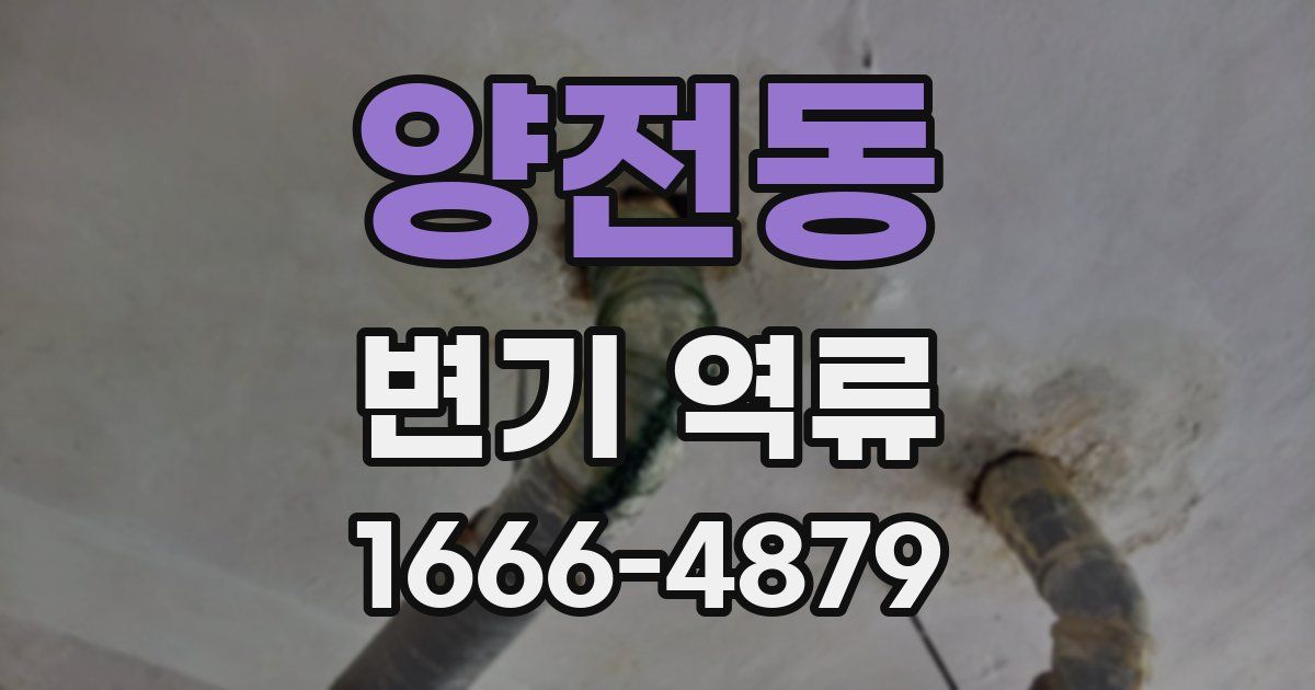 양전동 변기 역류