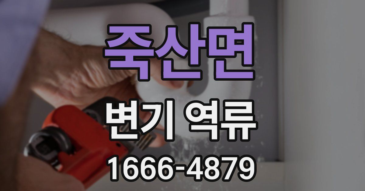 죽산면 변기 역류
