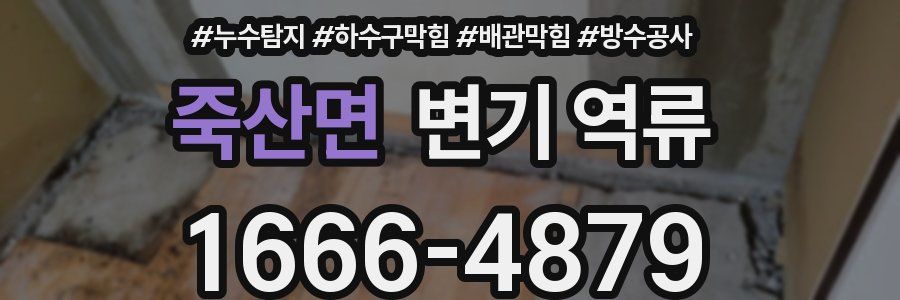 죽산면 변기 역류