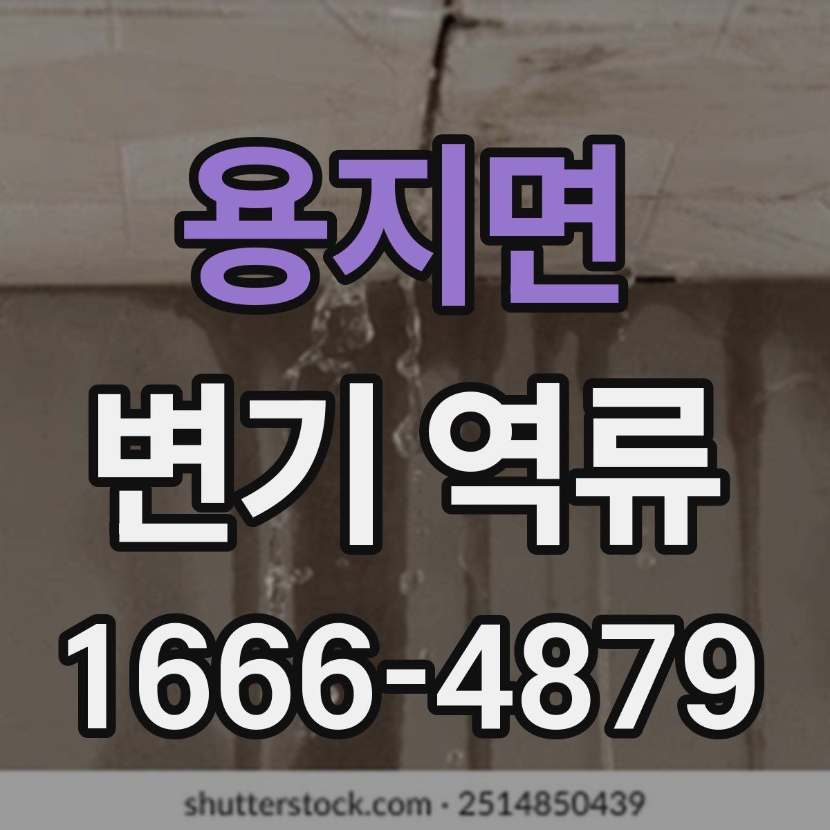 용지면 변기 역류 배수 라인 문제를 의심해야 하는 상황