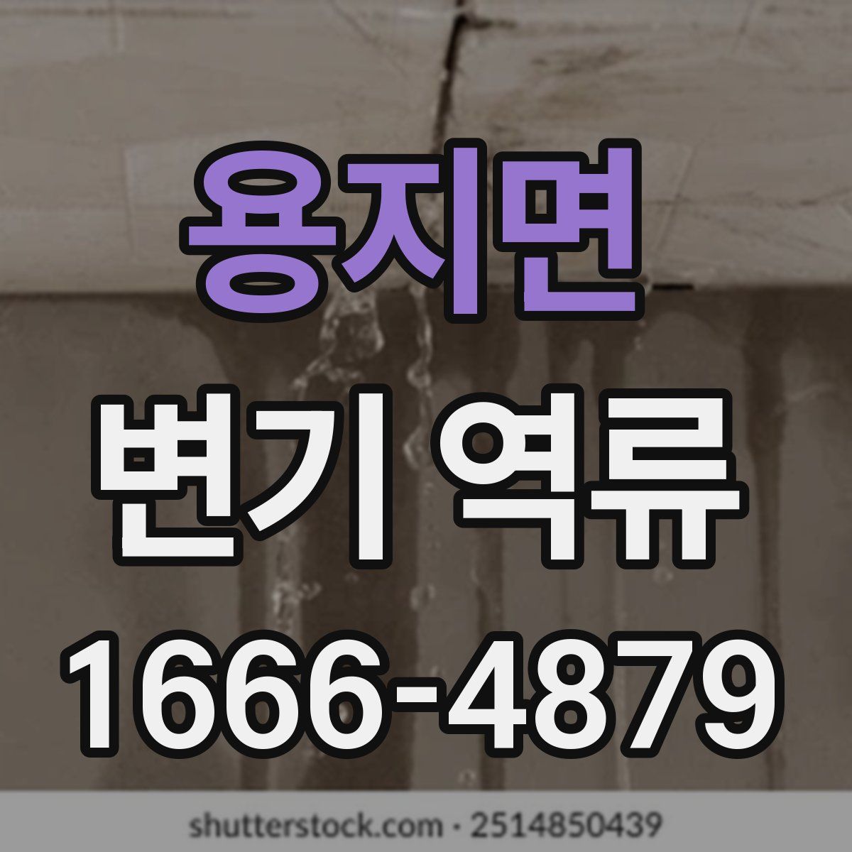 용지면 변기 역류