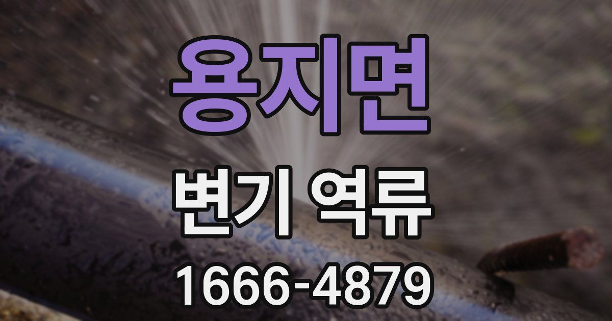 용지면 변기 역류