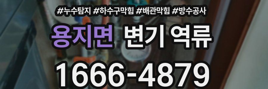 용지면 변기 역류