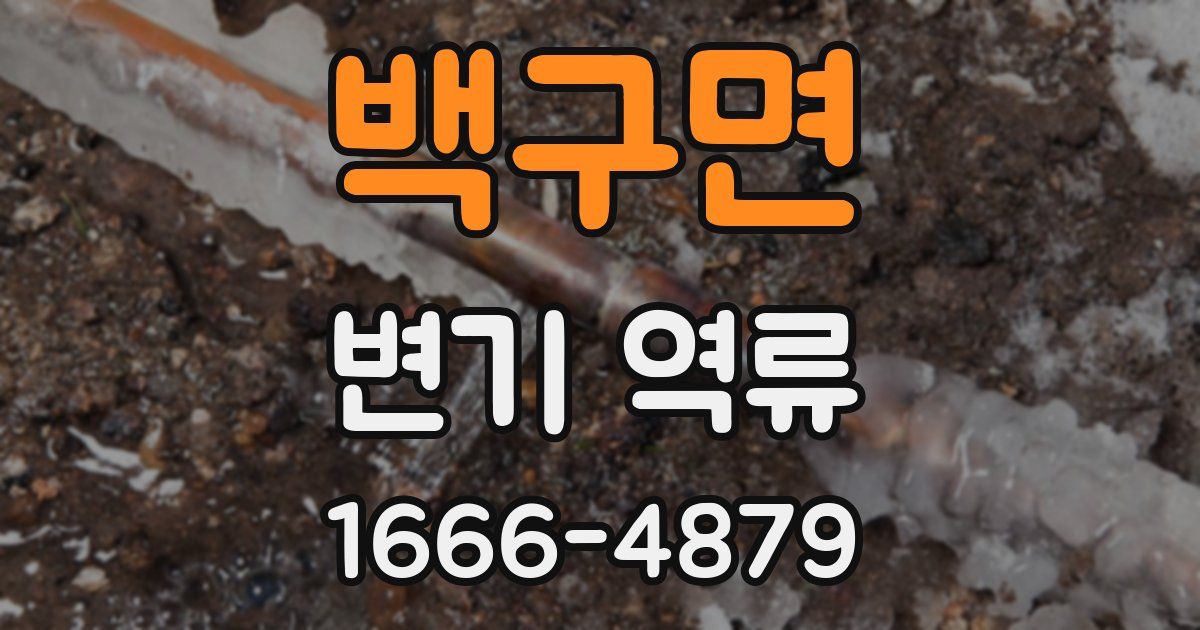 백구면 변기 역류