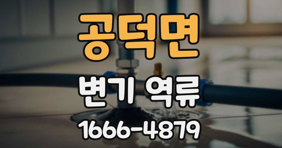 공덕면 변기 역류