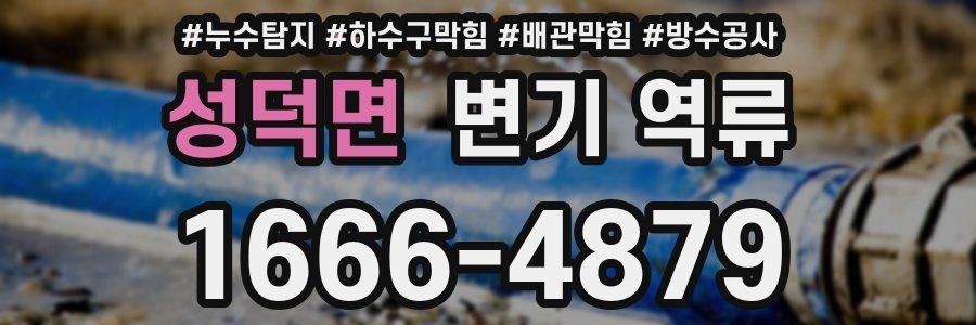 성덕면 변기 역류
