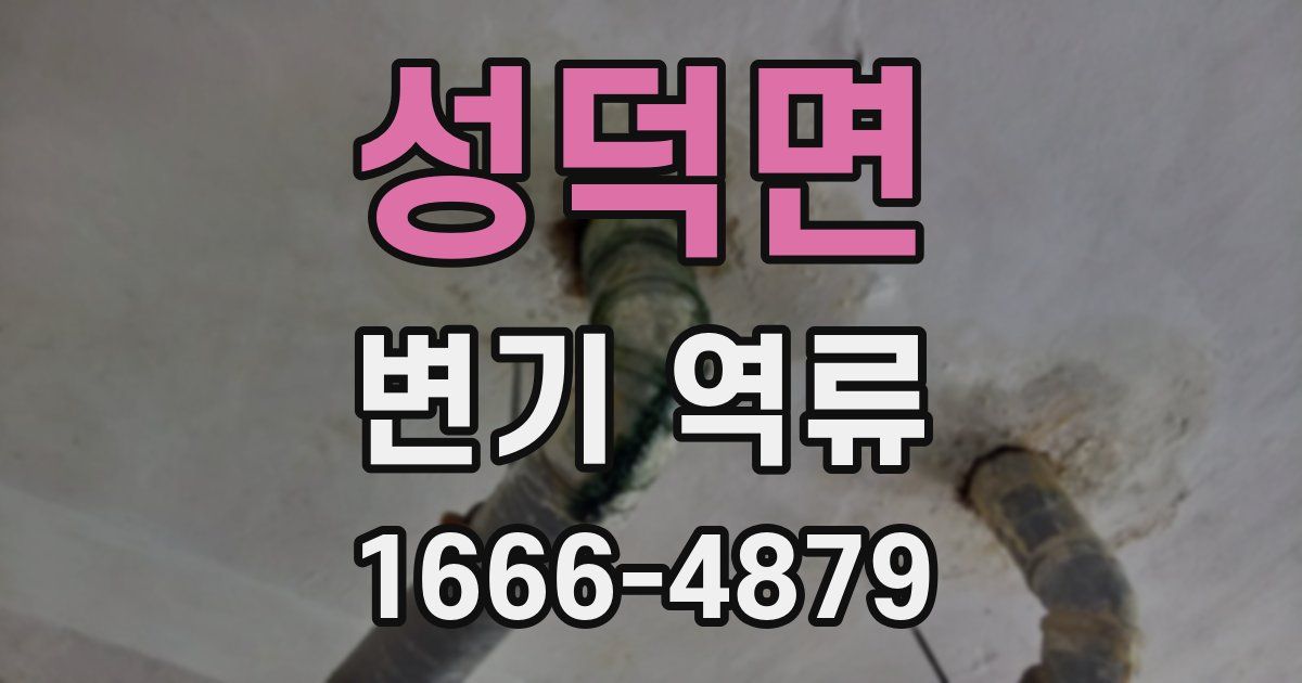 성덕면 변기 역류